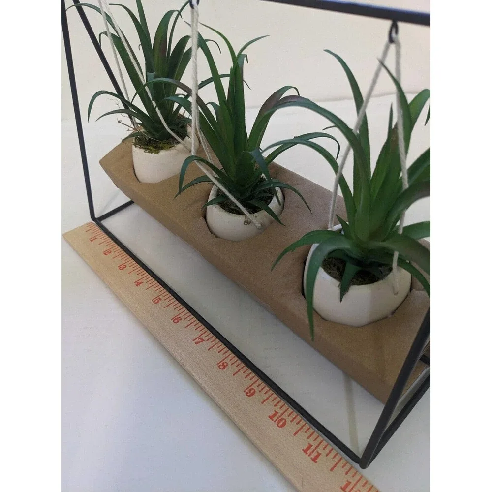 Set 3 pcs Hanging Cactus Cacti in Planters Indoor Rope Hanger Flower Pot Basket